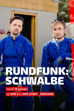 Rundfunk: Schwalbe - Poster