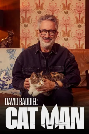 David Baddiel: Cat Man - Poster