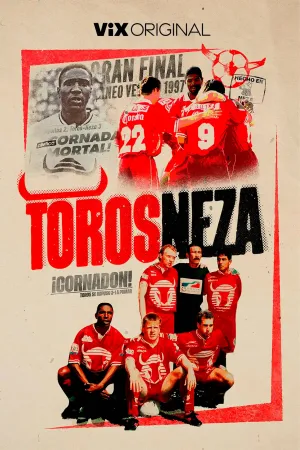 Toros Neza - Poster