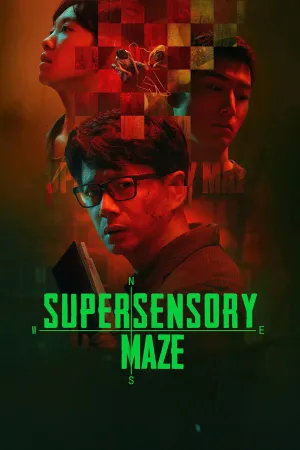 Supersensory Maze - Poster