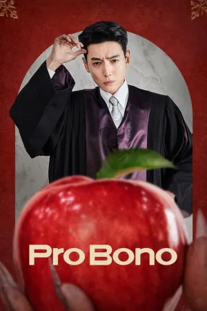 Pro Bono - Poster
