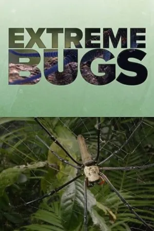 Extreme Bugs - Poster