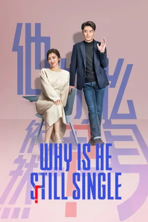 Why is He Still Single? - Poster