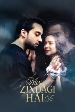 Meri Zindagi Hai Tu - Series Poster