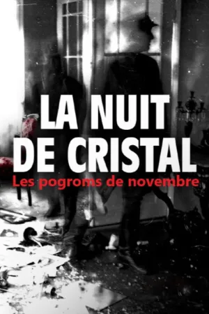 La Nuit de cristal : Les pogroms de novembre - Poster
