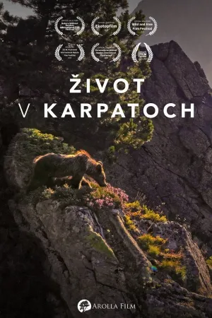 Into the Carpathian Wild - Poster