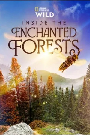 Inside the Enchanted Forests - Poster