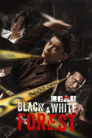 Black & White Forest - Poster
