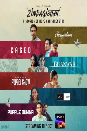 Zindaginama - Poster