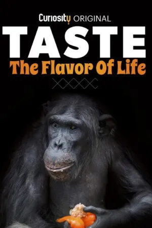 Taste: The Flavor of Life - Poster