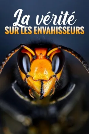 La vérité sur les envahisseurs - Series Poster