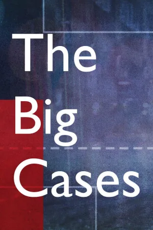 The Big Cases - Poster